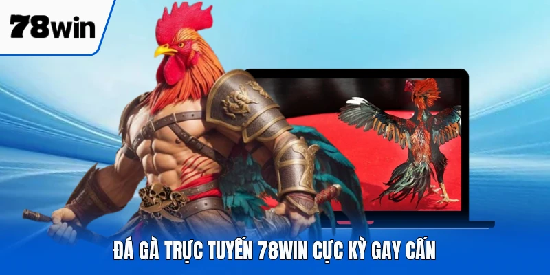 Đá gà trực tuyến 78WIN cực kỳ gay cấn
