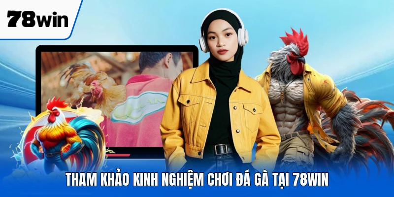 Tham khảo kinh nghiệm chơi đá gà tại 78WIN