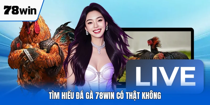 Tìm hiểu đá gà 78WIN có thật không